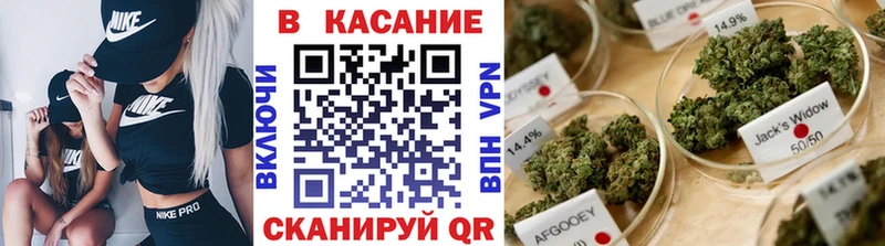 Где найти наркотики Александров Бошки Шишки  СК  ГАШ  МЕФ  Кокаин 