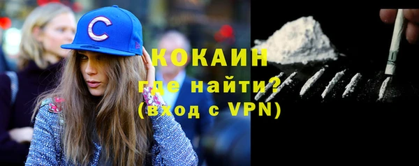 дурь Няндома