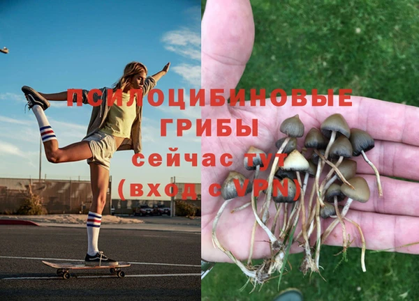 COCAINE Нязепетровск