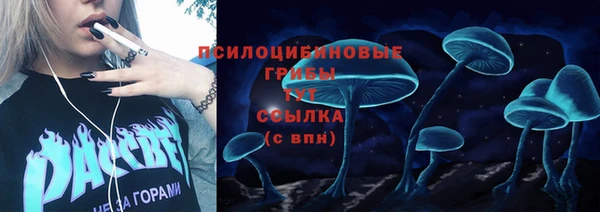 дурь Няндома