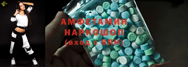 дурь Няндома
