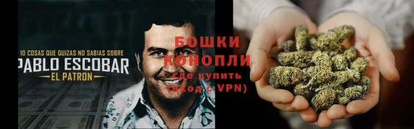 дурь Няндома