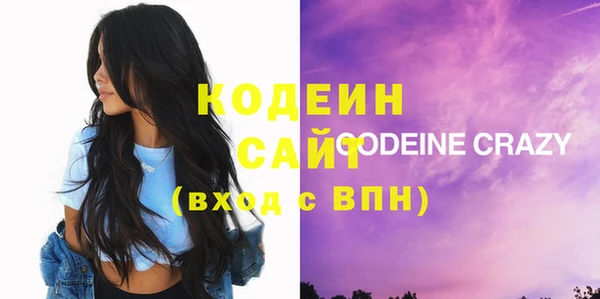 дурь Няндома