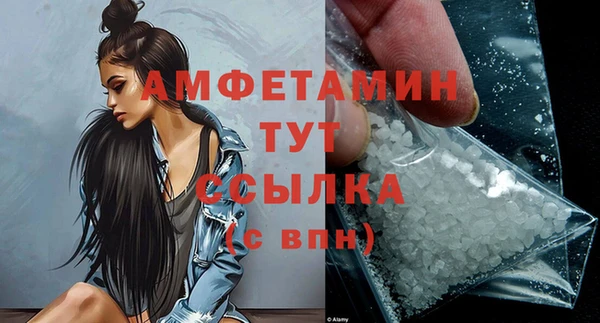 дурь Няндома