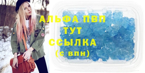 дурь Няндома
