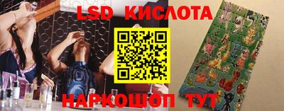 стаф Абинск