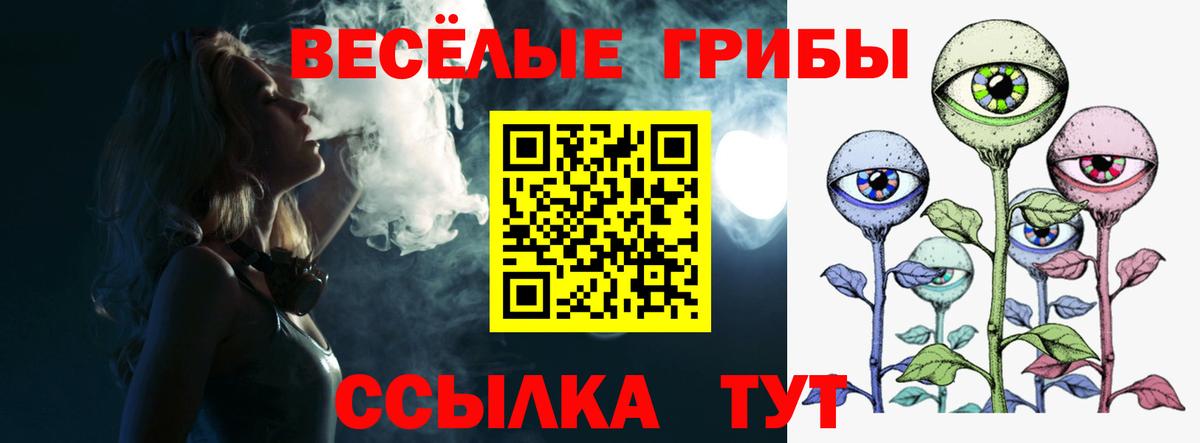 Галлюциногенные грибы мухоморы  Александров 