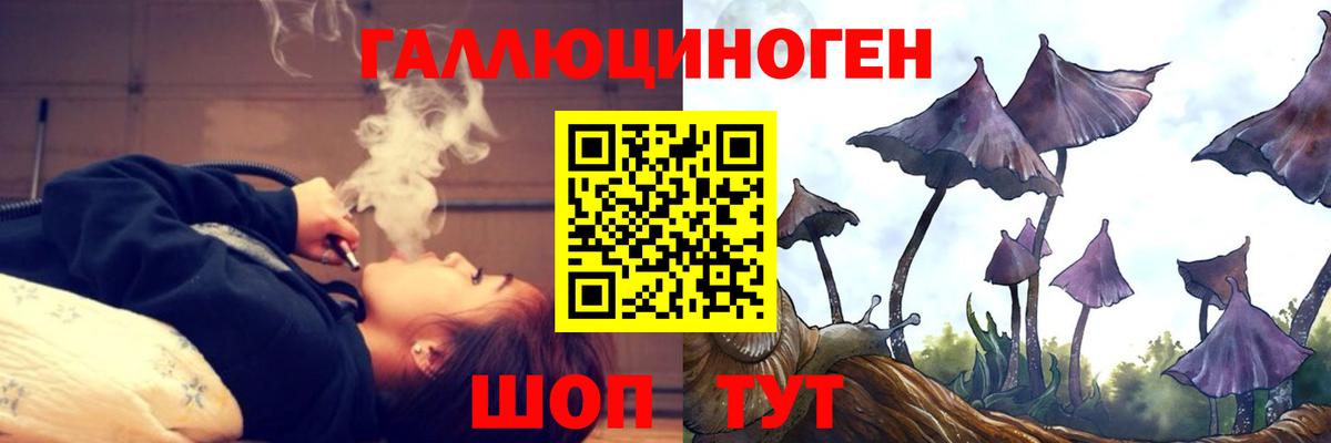 магазин продажи наркотиков  Псилоцибиновые грибы MAGIC MUSHROOMS  Вход с VPN  Александров 